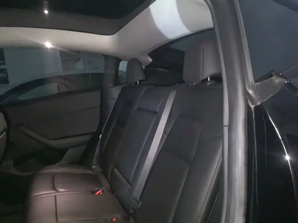 Tesla Model Y — миниатюра 14
