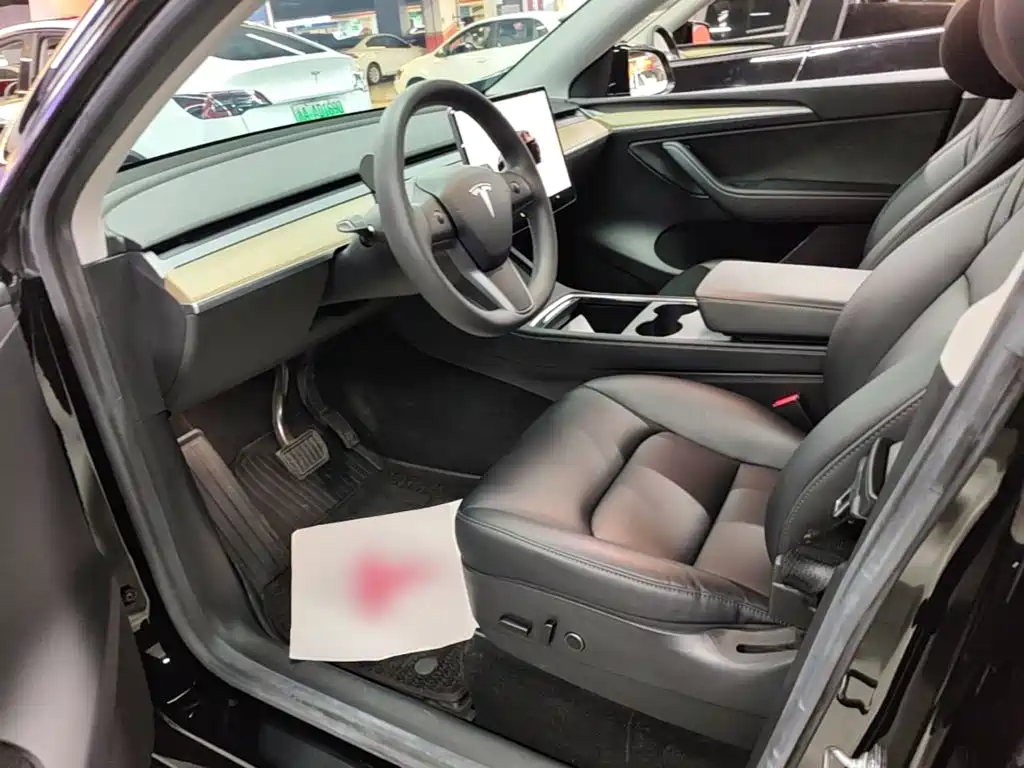 Tesla Model Y — миниатюра 15