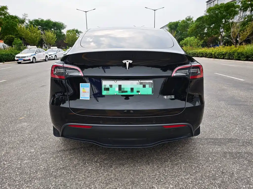 Tesla Model Y — миниатюра 6