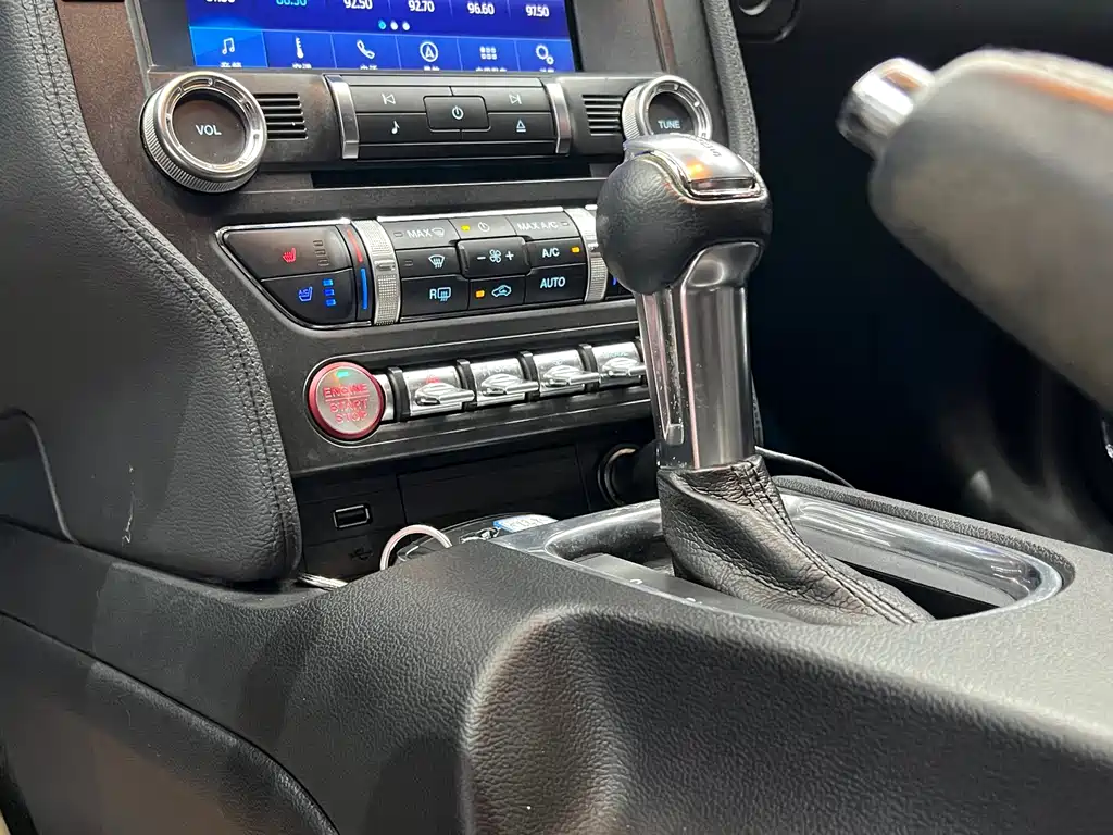 Ford Mustang — миниатюра 22