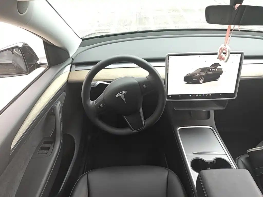 Tesla Model Y — миниатюра 11