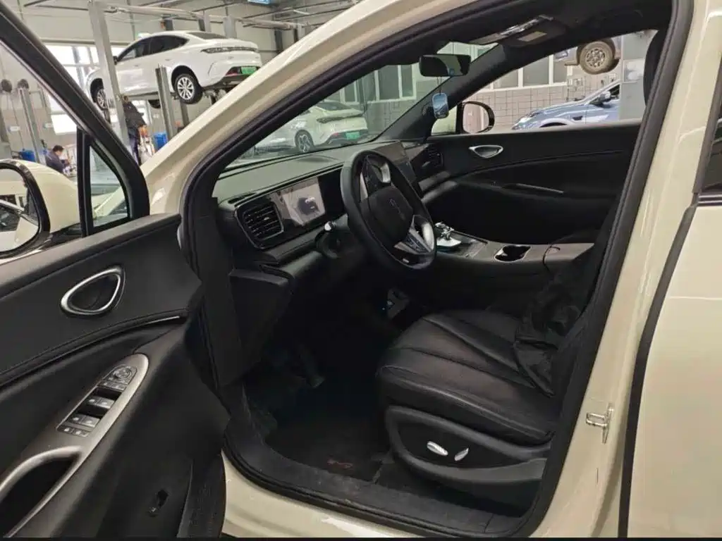 BYD Sealion 06 — миниатюра 4