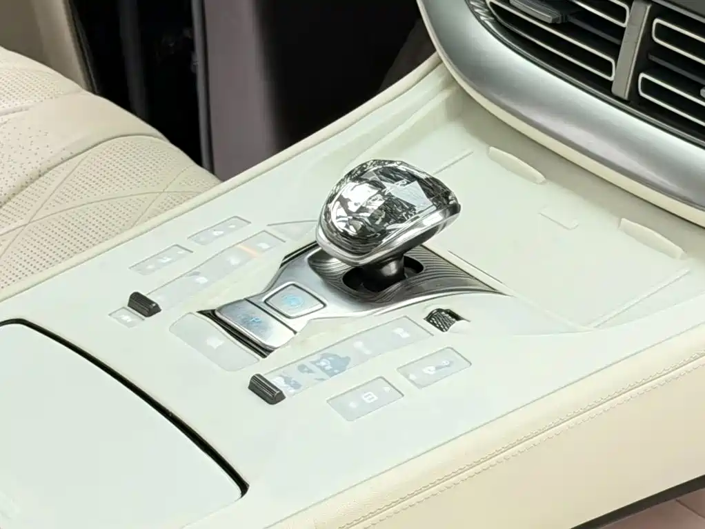 Denza Denza D9 — миниатюра 11