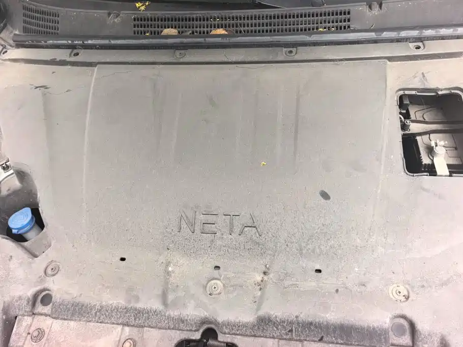 Neta Neta V — миниатюра 10