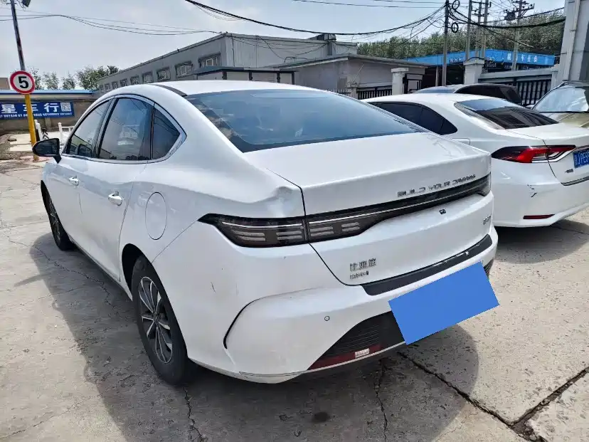 BYD Destroyer 05 2024 DM-i 55KM Luxury