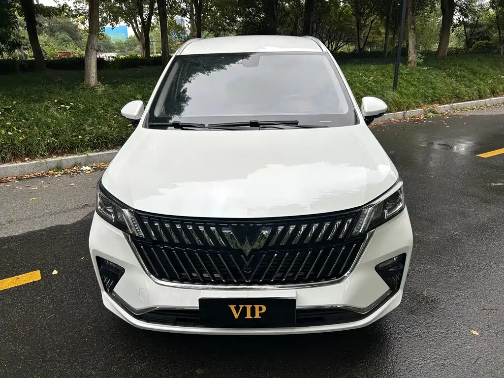 Wuling Jiachen — миниатюра 3