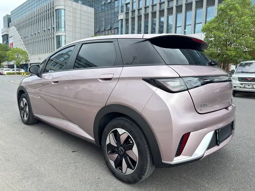 BYD Dolphin — миниатюра 23