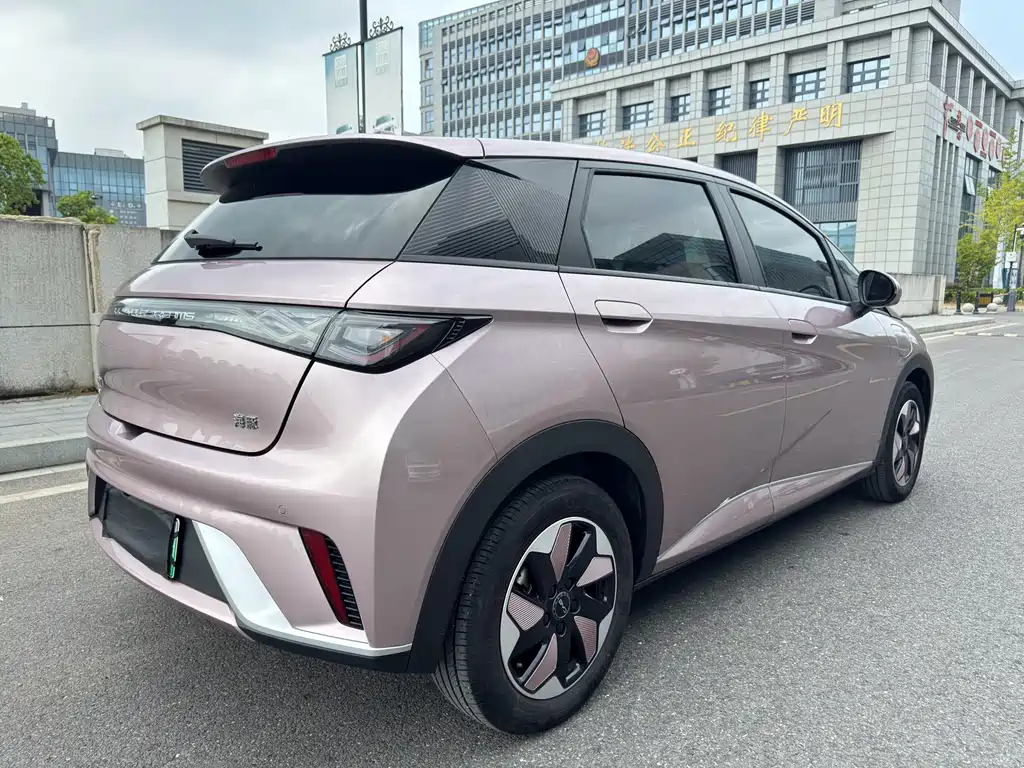 BYD Dolphin — миниатюра 25