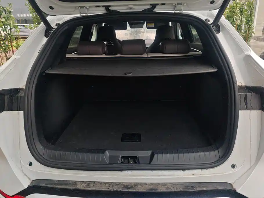 BYD PLUS New Energy — миниатюра 4