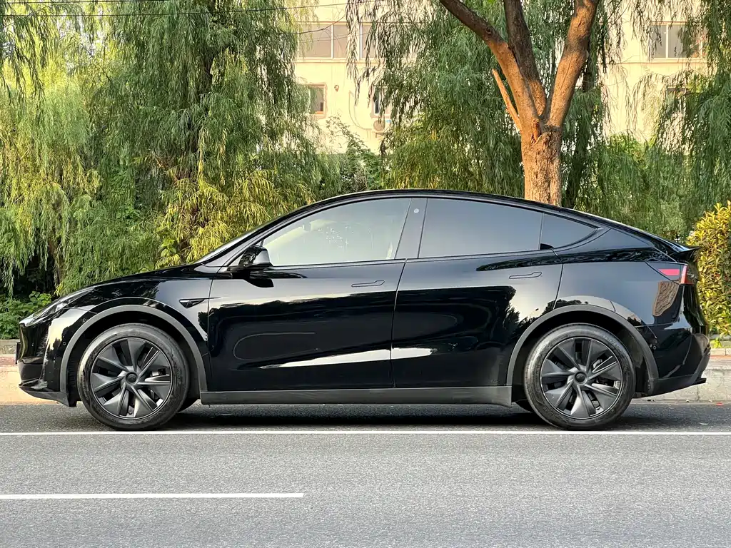Tesla Model Y — миниатюра 5