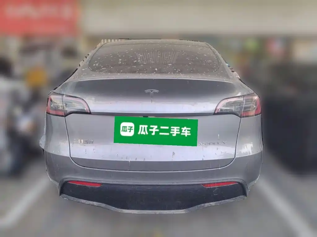 Tesla Model Y — миниатюра 3