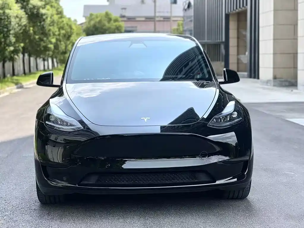 Tesla Model Y — миниатюра 2