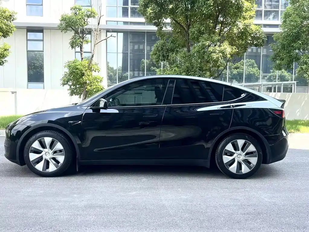 Tesla Model Y — миниатюра 14