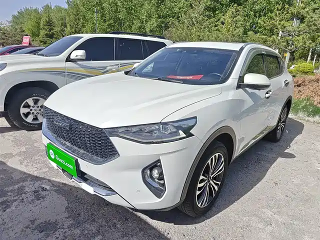 2019 Haval F7