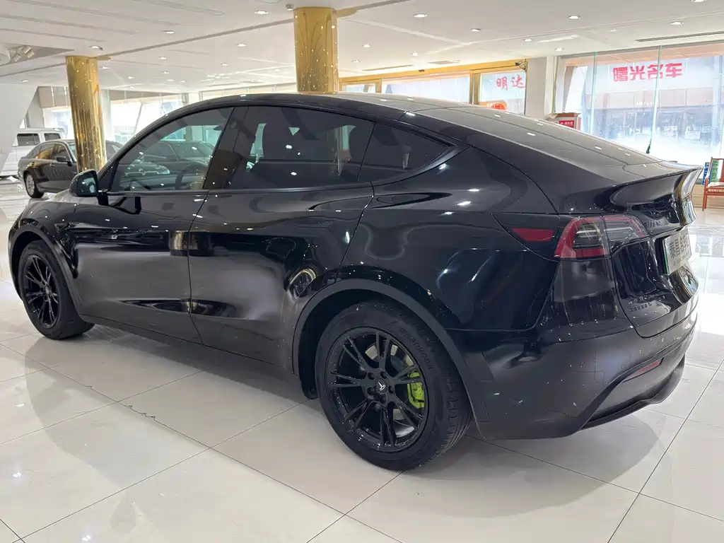 Tesla Model Y — миниатюра 4