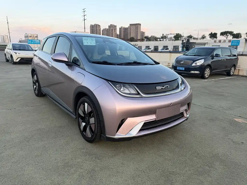 BYD Dolphin — миниатюра 3