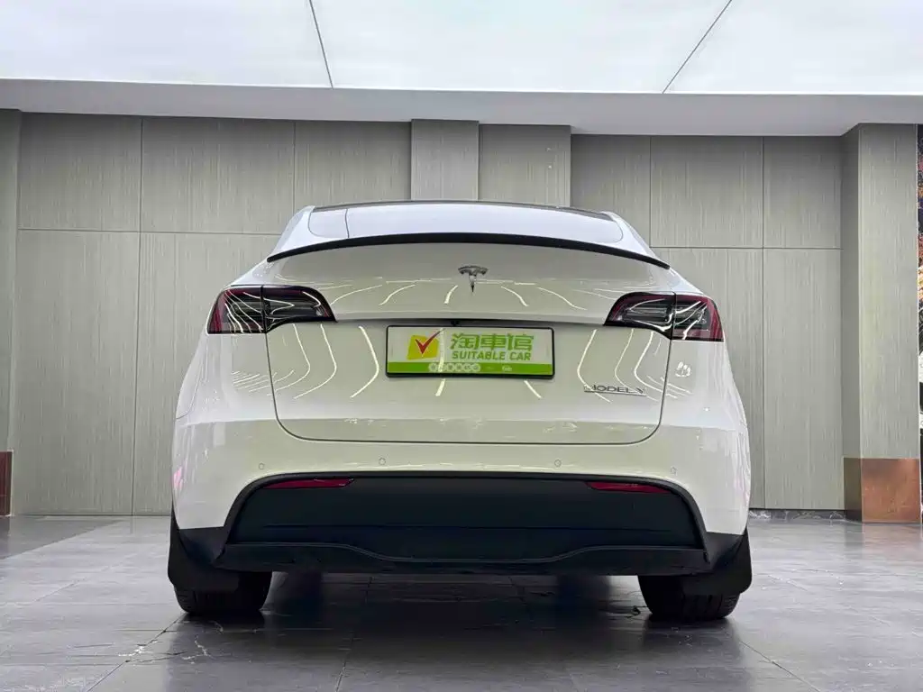 Tesla Model Y — миниатюра 5