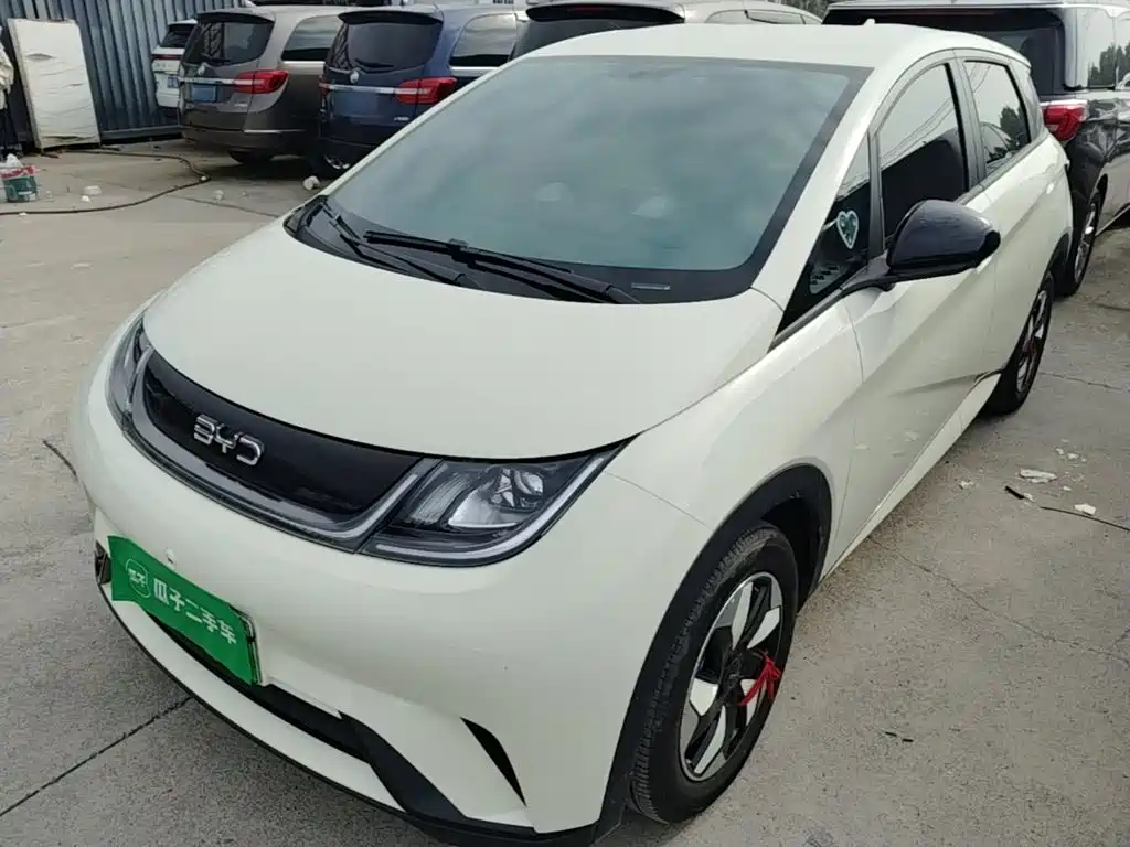 BYD Dolphin