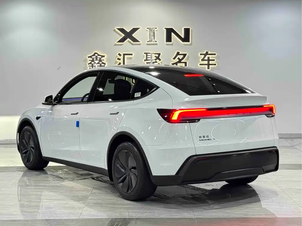 Tesla Model Y — миниатюра 5