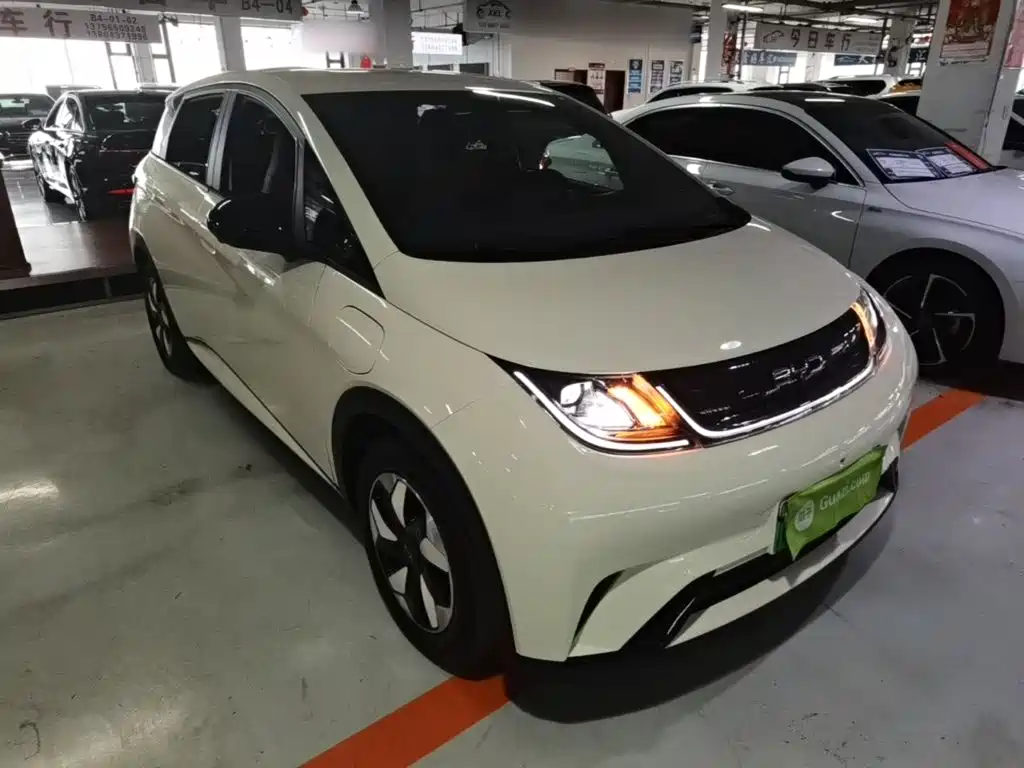 BYD Dolphin — миниатюра 4