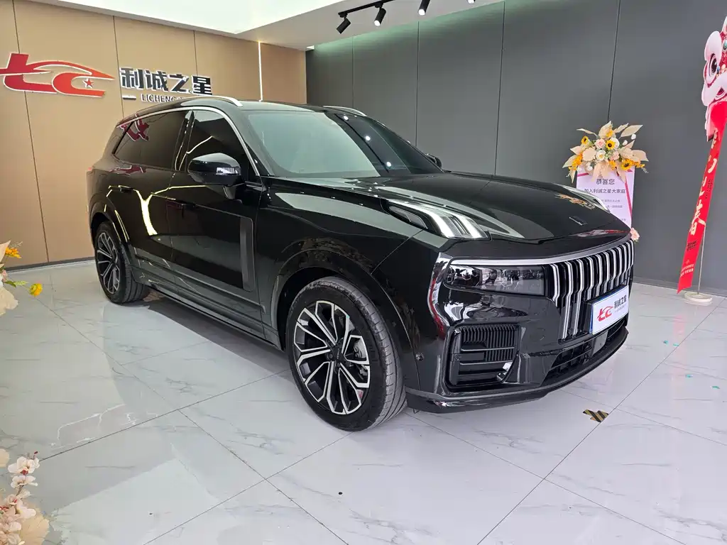 Lynk & Co 09 2024 2.0T мест