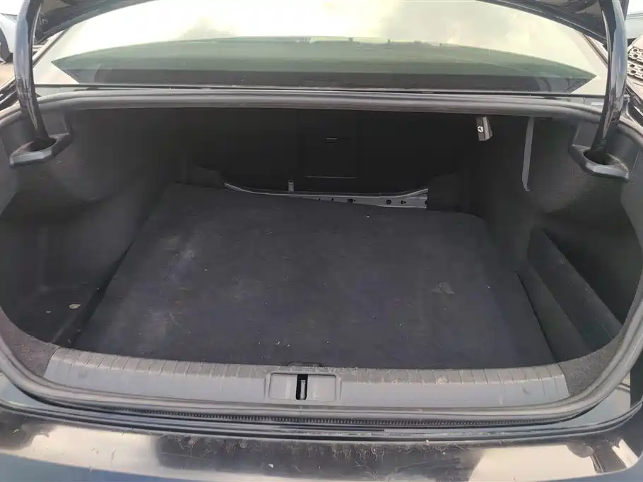 Volkswagen Magotan 2019 330TSI DSG Lead V
