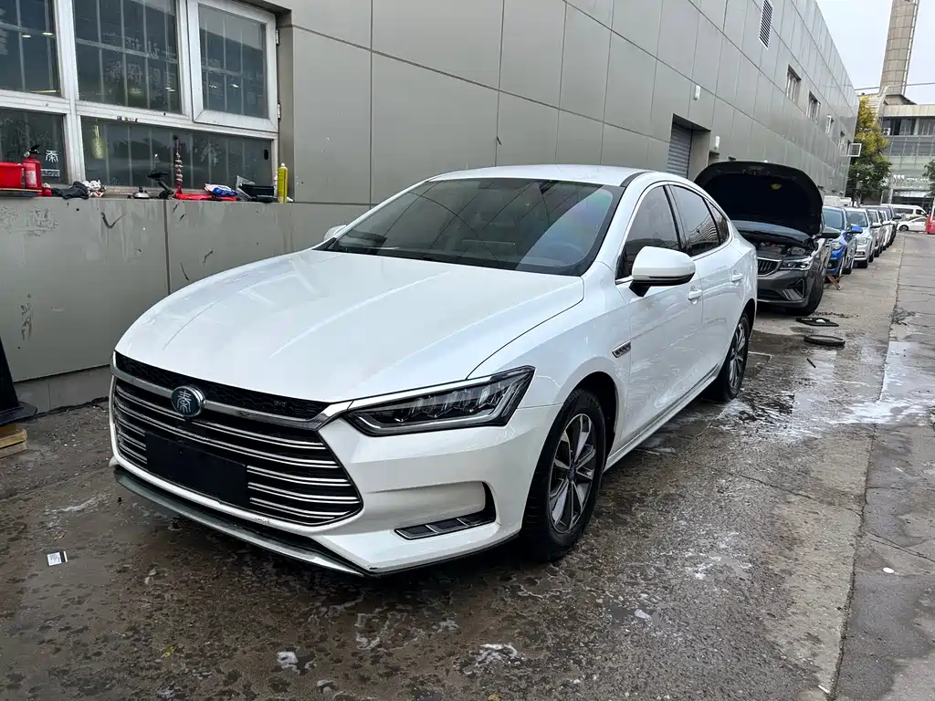 BYD Qin Pro NEV