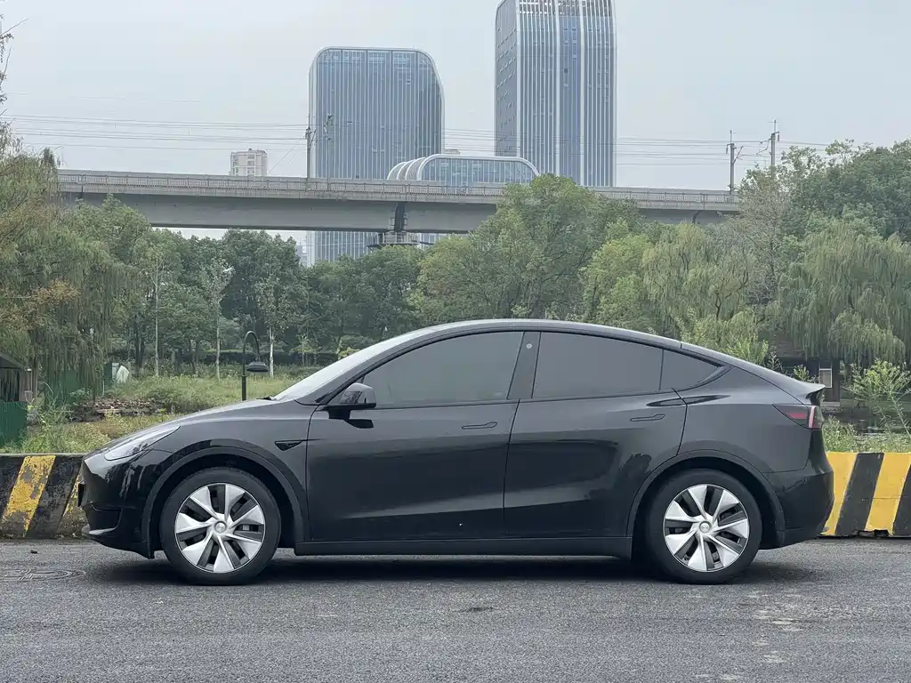 Tesla Model Y — миниатюра 4