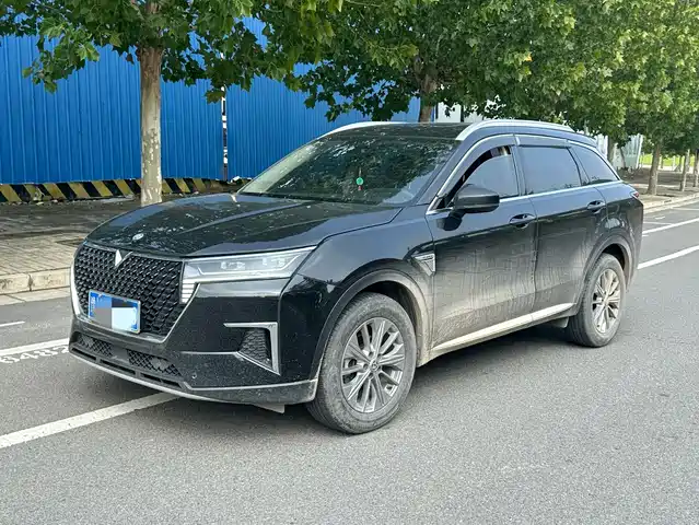 QICHEN XING 2021