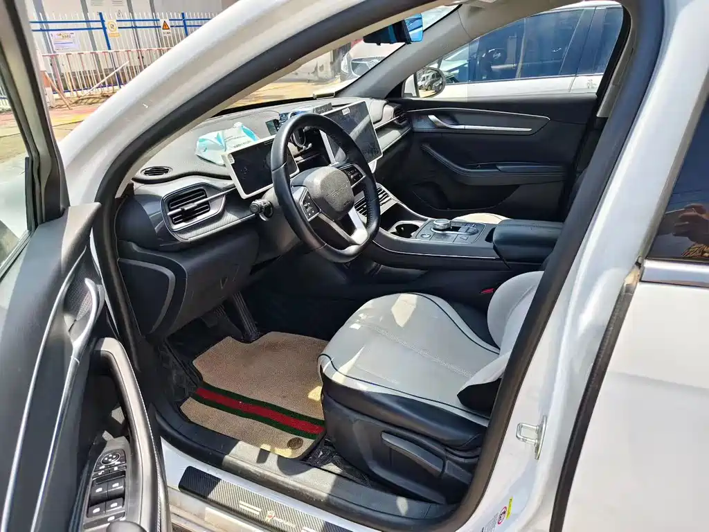 BYD Destroyer 05 2024 DM-i 55KM Luxury