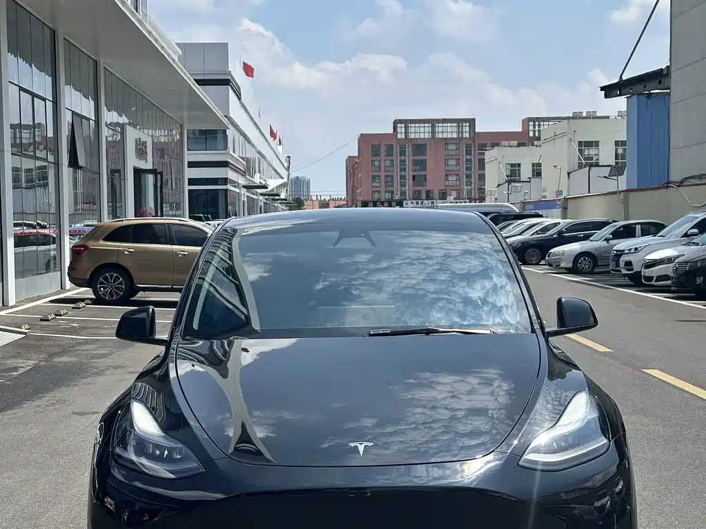 Tesla Model Y — миниатюра 2