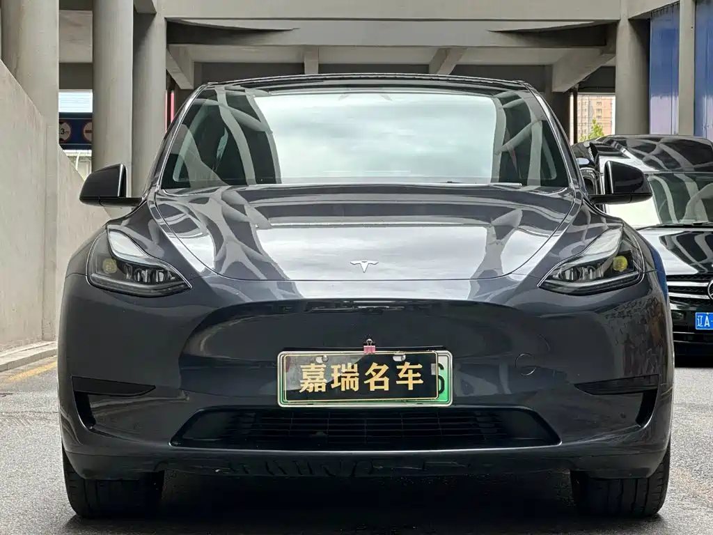 Tesla Model Y — миниатюра 2