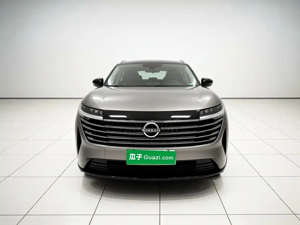 Nissan Teramont — миниатюра 2