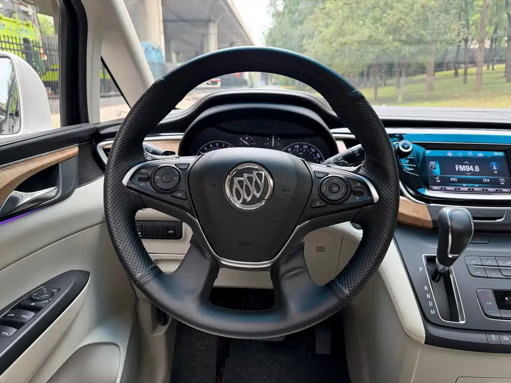 Buick GL8 — миниатюра 10