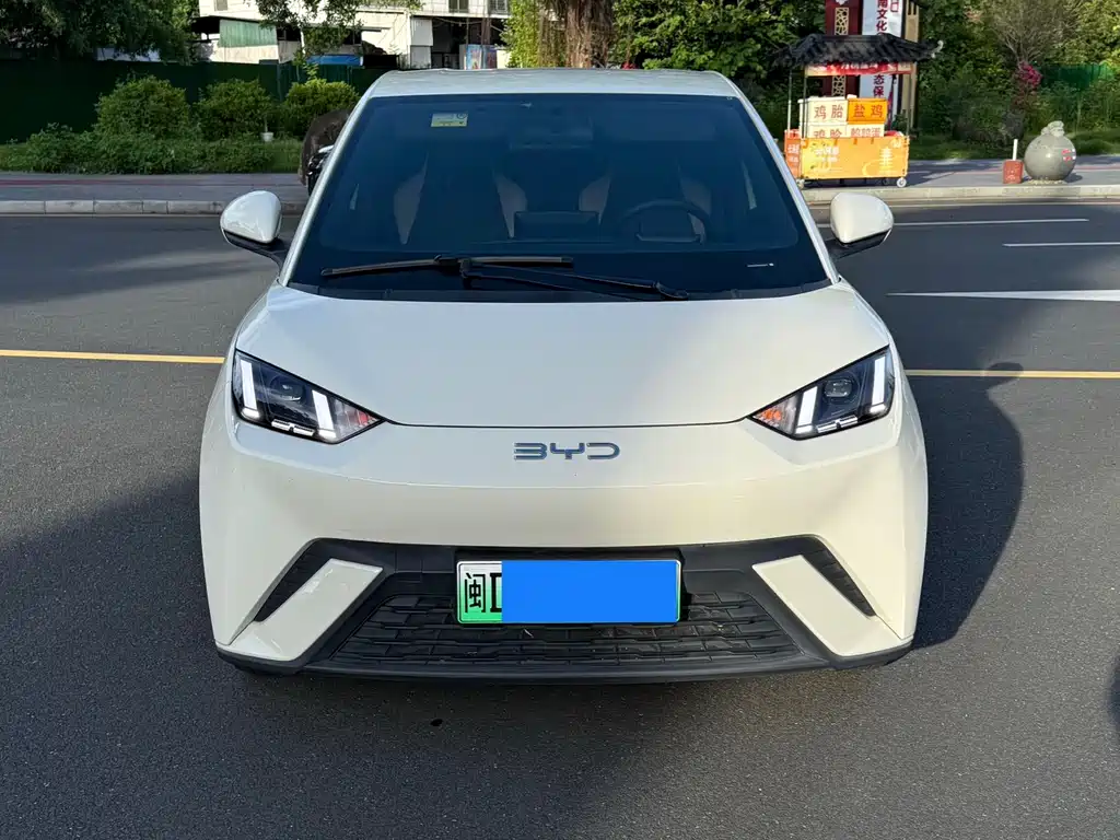 BYD Seagull 2024 305km Freedom