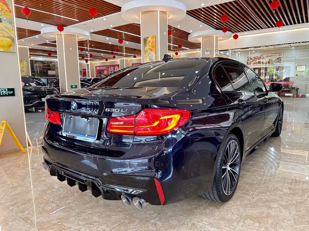 BMW 5 Series 5 2019 530Li Premium M Sport
