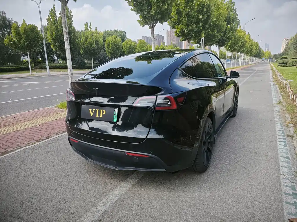 Tesla Model Y — миниатюра 10