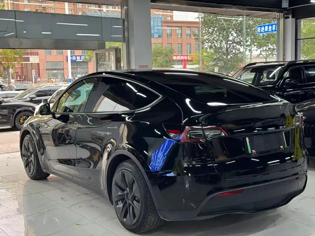 Tesla Model Y — миниатюра 5
