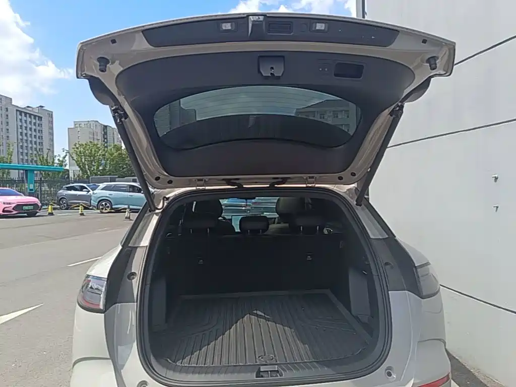 BYD Sealion 06 — миниатюра 19