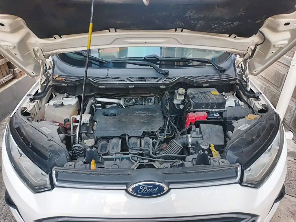 Ford Ecosport — миниатюра 21