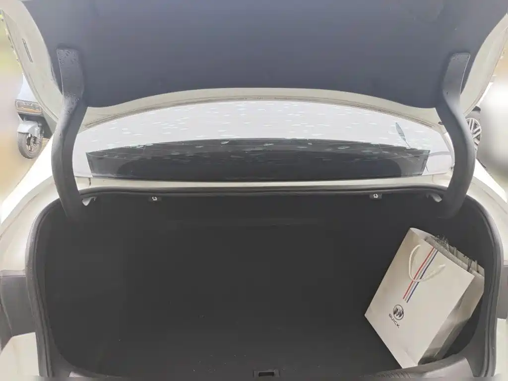 Buick Regal — миниатюра 10