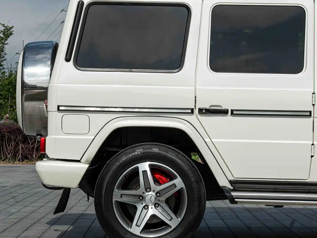 Mercedes-Benz G-Class A MG G AMG 2009 AMG G 55