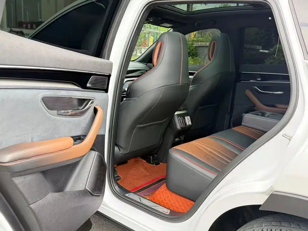 BYD PLUS — миниатюра 12