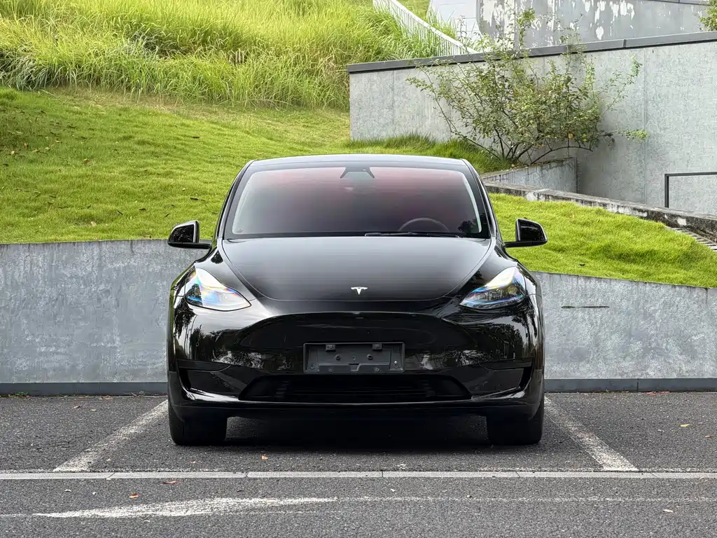 Tesla Model Y — миниатюра 2
