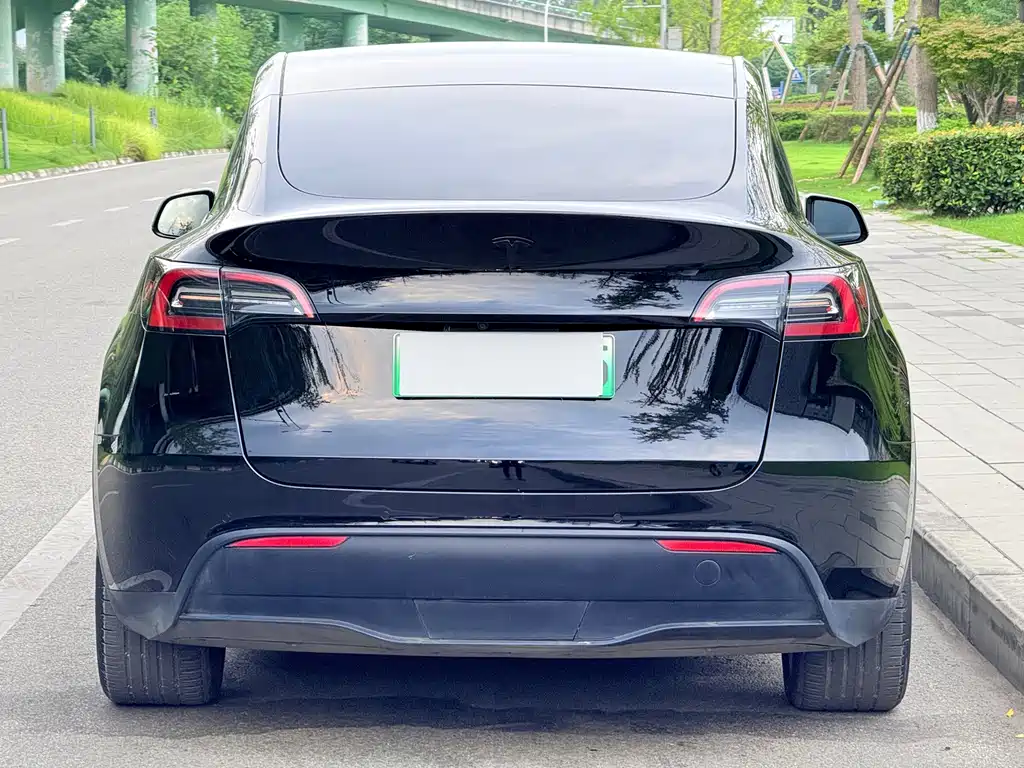 Tesla Model Y — миниатюра 5