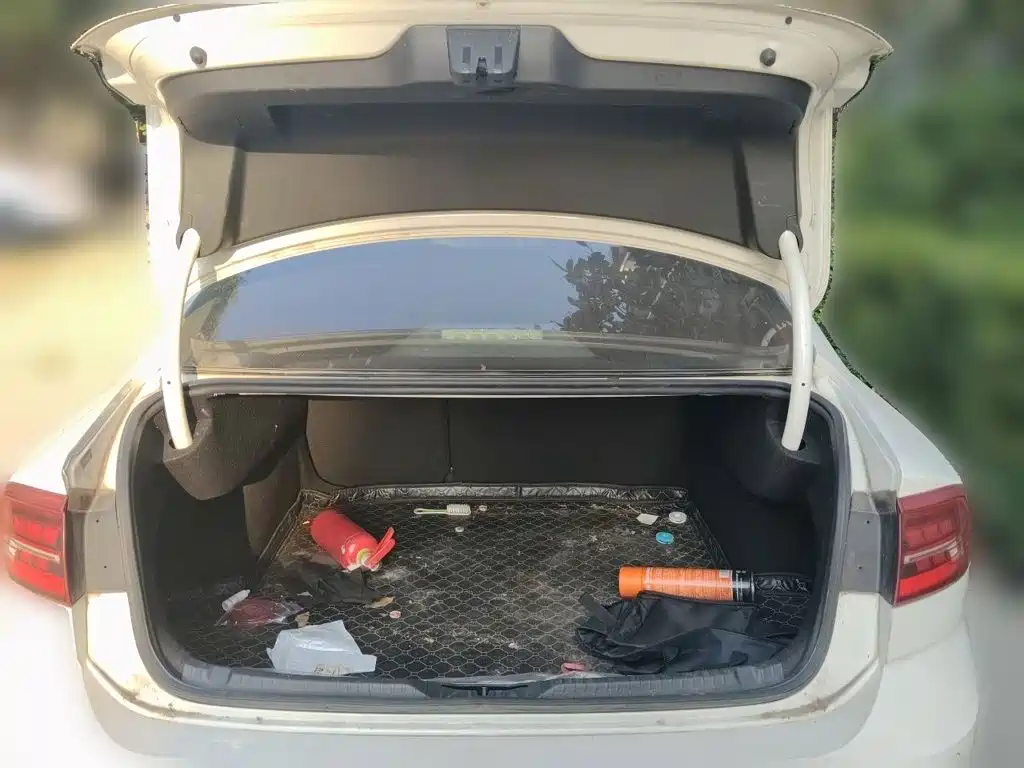 Volkswagen Lamando — миниатюра 10