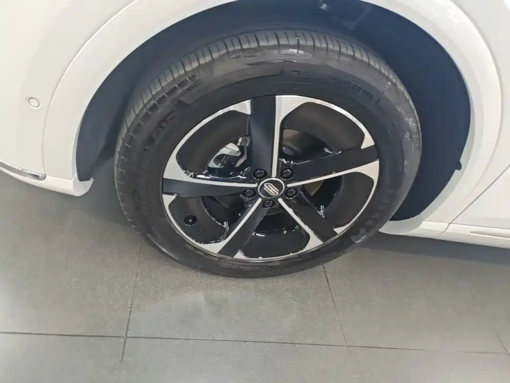 Shangjie Shangjie H5 — миниатюра 23