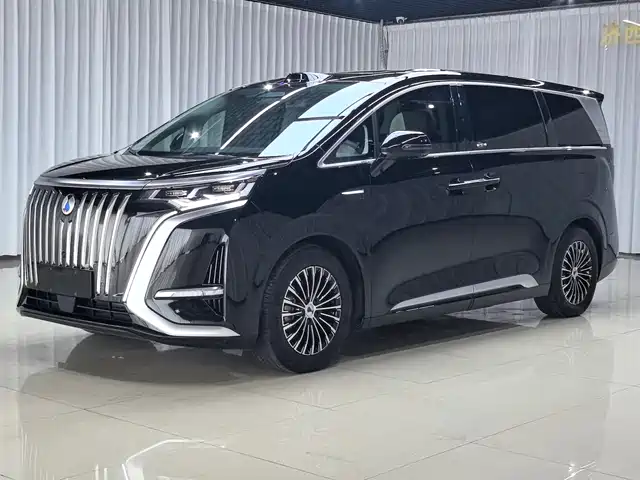 2025 Denza D9