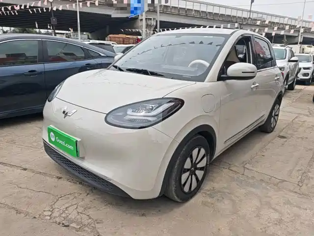 2024 Wuling Motors Binguo