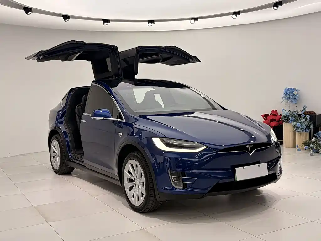 Tesla Model X 2019